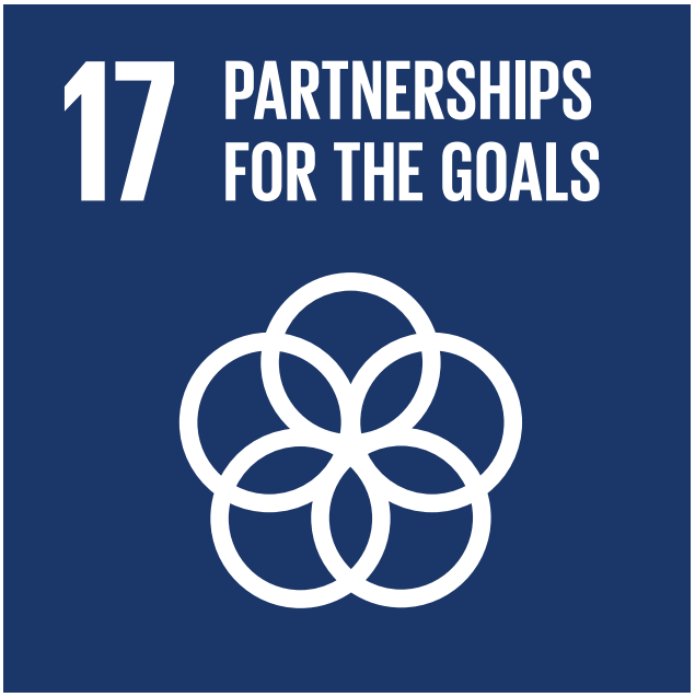 sdg17