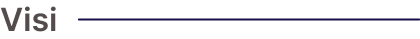 visi